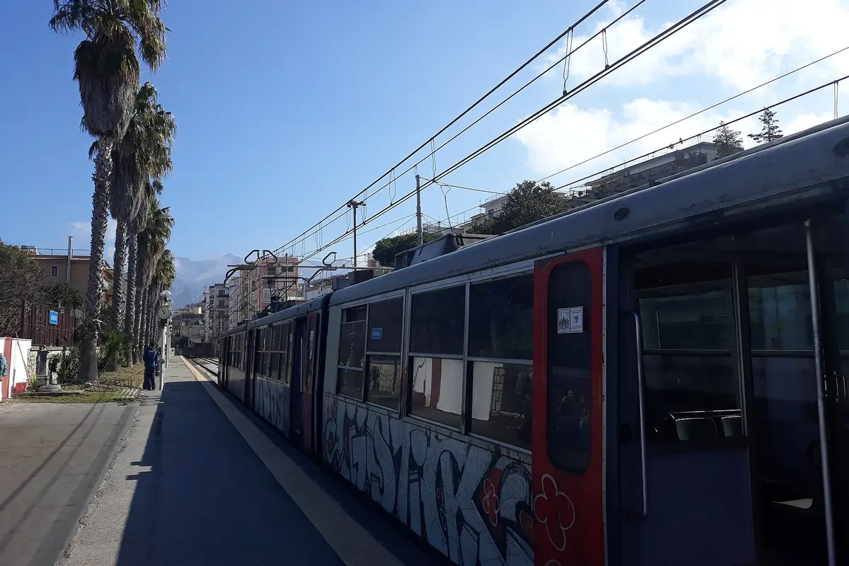 Ένα σκούρο μπλε και γκρι προαστιακό τρένο σταματημένο σε αποβάθρα στο Σορέντο κάτω από εναέριες γραμμές, με ψηλούς φοίνικες δίπλα στη σιδηροδρομική γραμμή.